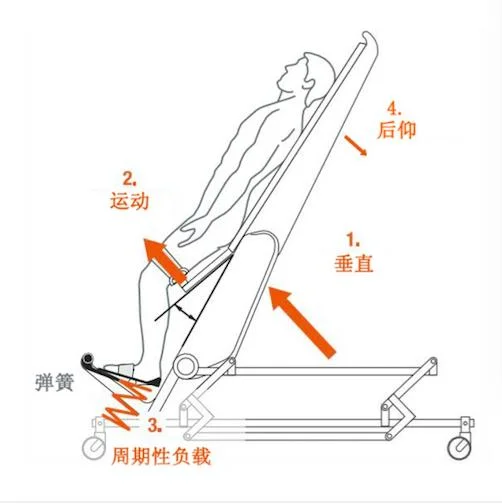 Physiotherapy Equipment Lower Limb Paralyzed Medical Rehabilitation Equipment