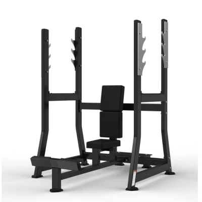 Máquina de ginástica para equipamentos de ginástica Realleader (RS-1041)