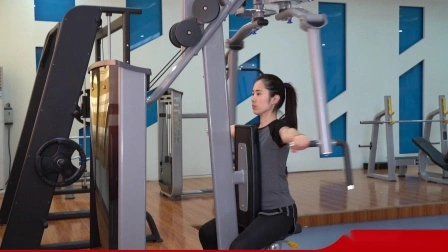 Equipamento de fitness de venda direta de fábrica/fabricante mais vendido/máquina de ginástica Delt/pec fly traseiro com aprovação ce (AXD-7005)